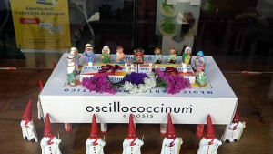 qmph-pais-homeopatia--escaparate-oscilo-2015
