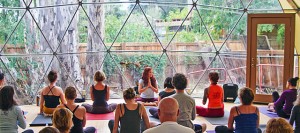 qmpg-blog-geodesica-yoga