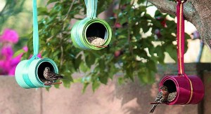 qmph-blog-20D--nidos-eco