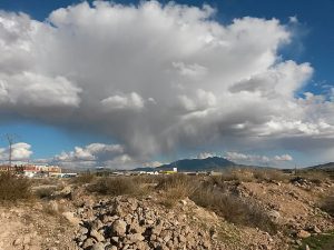 qmph-blog-querido-pamies-naturaleza