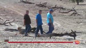 qmph-blog--avionetas-plateadas--02min24seg