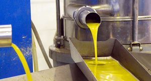 qmph-blog--sindrome-toxico--aceite-oliva